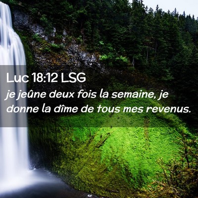 Picture 02 - Luc 18:12 LSG - je jeûne deux fois la semaine, je donne la dîme - Bible Verse Picture
