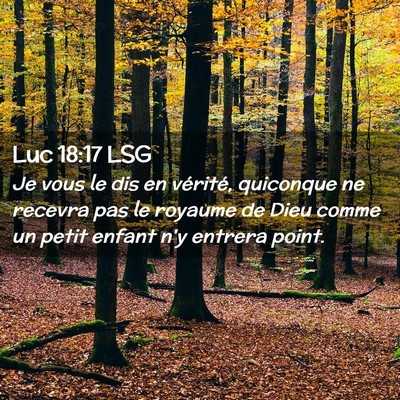 Picture 02 - Luc 18:17 LSG - Je vous le dis en vérité, quiconque ne recevra - Bible Verse Picture