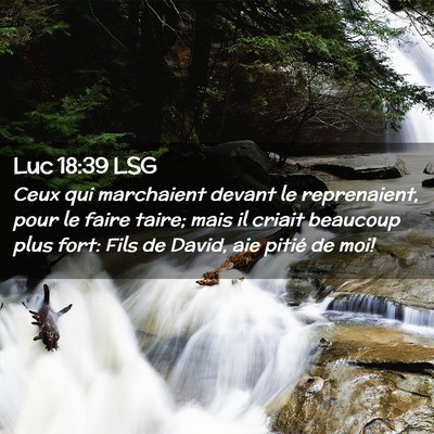 Picture 02 - Luc 18:39 LSG - Ceux qui marchaient devant le reprenaient, pour - Bible Verse Picture