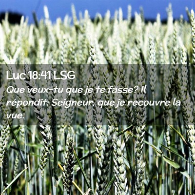 Picture 02 - Luc 18:41 LSG - Que veux-tu que je te fasse? Il répondit: - Bible Verse Picture