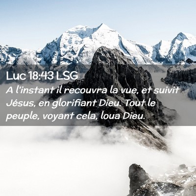 Picture 02 - Luc 18:43 LSG - A l'instant il recouvra la vue, et suivit Jésus, - Bible Verse Picture