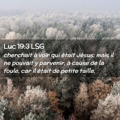 Picture 02 - Luc 19:3 LSG - cherchait à voir qui était Jésus; mais il ne - Bible Verse Picture