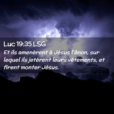 Picture 02 - Luc 19:35 LSG - Et ils amenèrent à Jésus l'ânon, sur lequel - Bible Verse Picture