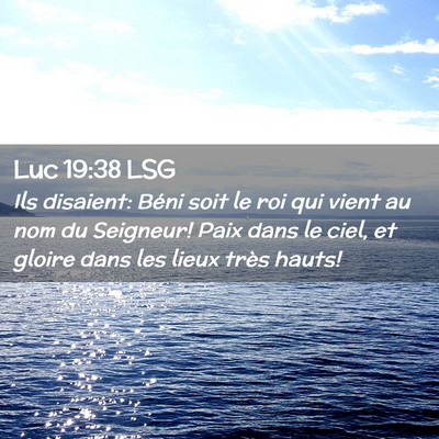 Picture 02 - Luc 19:38 LSG - Ils disaient: Béni soit le roi qui vient au nom - Bible Verse Picture