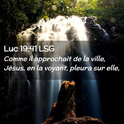 Picture 02 - Luc 19:41 LSG - Comme il approchait de la ville, Jésus, en la - Bible Verse Picture