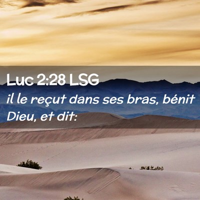Picture 02 - Luc 2:28 LSG - il le reçut dans ses bras, bénit Dieu, et - Bible Verse Picture