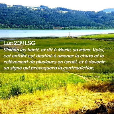 Picture 02 - Luc 2:34 LSG - Siméon les bénit, et dit à Marie, sa mère: - Bible Verse Picture