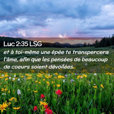 Picture 02 - Luc 2:35 LSG - et à toi-même une épée te transpercera - Bible Verse Picture