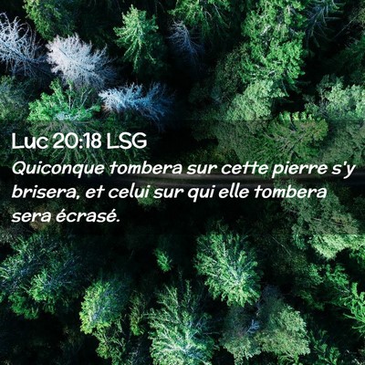 Picture 02 - Luc 20:18 LSG - Quiconque tombera sur cette pierre s'y brisera, - Bible Verse Picture