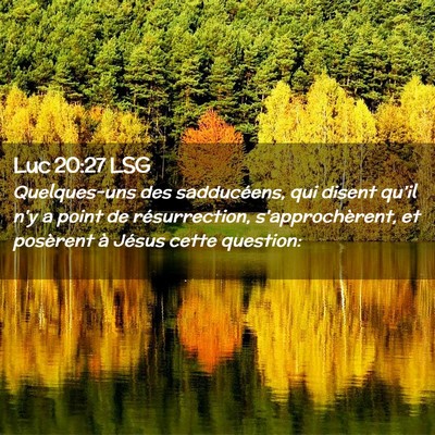 Picture 02 - Luc 20:27 LSG - Quelques-uns des sadducéens, qui disent qu'il - Bible Verse Picture