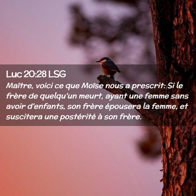 Picture 02 - Luc 20:28 LSG - Maître, voici ce que Moïse nous a prescrit: Si - Bible Verse Picture