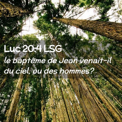 Picture 02 - Luc 20:4 LSG - le baptême de Jean venait-il du ciel, ou des - Bible Verse Picture