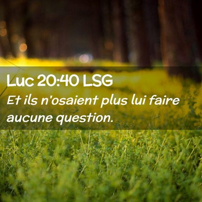 Picture 02 - Luc 20:40 LSG - Et ils n'osaient plus lui faire aucune - Bible Verse Picture
