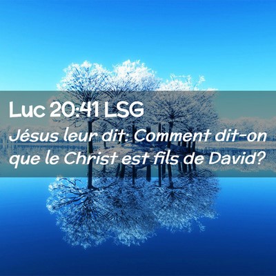 Picture 02 - Luc 20:41 LSG - Jésus leur dit: Comment dit-on que le Christ est - Bible Verse Picture