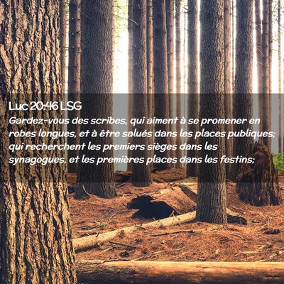 Picture 02 - Luc 20:46 LSG - Gardez-vous des scribes, qui aiment à se - Bible Verse Picture