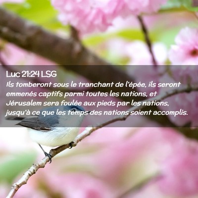 Picture 02 - Luc 21:24 LSG - Ils tomberont sous le tranchant de l'épée, ils - Bible Verse Picture
