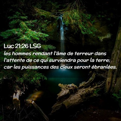 Picture 02 - Luc 21:26 LSG - les hommes rendant l'âme de terreur dans - Bible Verse Picture