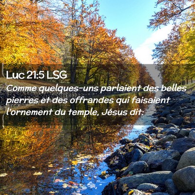 Picture 02 - Luc 21:5 LSG - Comme quelques-uns parlaient des belles pierres - Bible Verse Picture