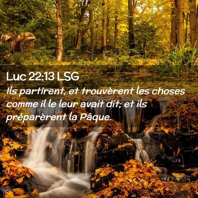 Picture 02 - Luc 22:13 LSG - Ils partirent, et trouvèrent les choses comme il - Bible Verse Picture