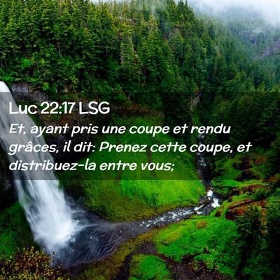 Picture 02 - Luc 22:17 LSG - Et, ayant pris une coupe et rendu grâces, il - Bible Verse Picture