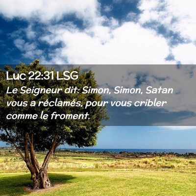 Picture 02 - Luc 22:31 LSG - Le Seigneur dit: Simon, Simon, Satan vous a - Bible Verse Picture