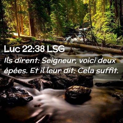 Picture 02 - Luc 22:38 LSG - Ils dirent: Seigneur, voici deux épées. Et il - Bible Verse Picture