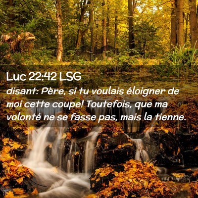 Picture 02 - Luc 22:42 LSG - disant: Père, si tu voulais éloigner de moi - Bible Verse Picture