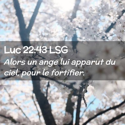 Picture 02 - Luc 22:43 LSG - Alors un ange lui apparut du ciel, pour le - Bible Verse Picture