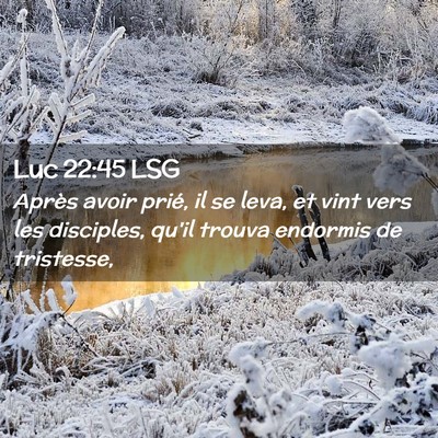 Picture 02 - Luc 22:45 LSG - Après avoir prié, il se leva, et vint vers les - Bible Verse Picture