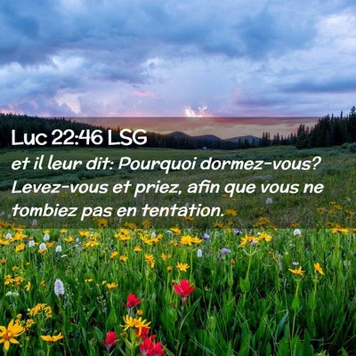 Picture 02 - Luc 22:46 LSG - et il leur dit: Pourquoi dormez-vous? Levez-vous - Bible Verse Picture