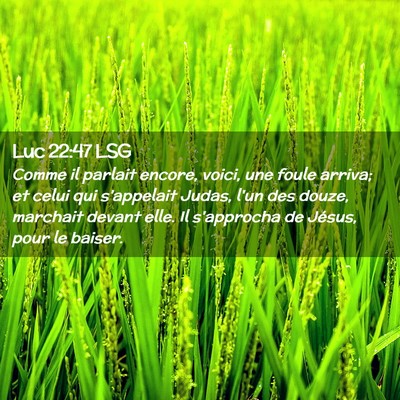 Picture 02 - Luc 22:47 LSG - Comme il parlait encore, voici, une foule arriva; - Bible Verse Picture