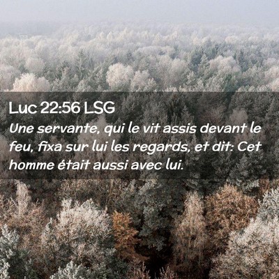 Picture 02 - Luc 22:56 LSG - Une servante, qui le vit assis devant le feu, - Bible Verse Picture