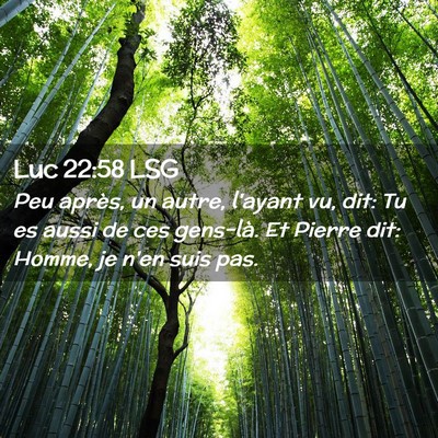 Picture 02 - Luc 22:58 LSG - Peu après, un autre, l'ayant vu, dit: Tu es - Bible Verse Picture