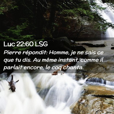 Picture 02 - Luc 22:60 LSG - Pierre répondit: Homme, je ne sais ce que tu - Bible Verse Picture