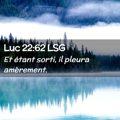 Picture 02 - Luc 22:62 LSG - Et étant sorti, il pleura - Bible Verse Picture