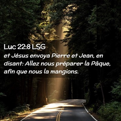Picture 02 - Luc 22:8 LSG - et Jésus envoya Pierre et Jean, en disant: Allez - Bible Verse Picture