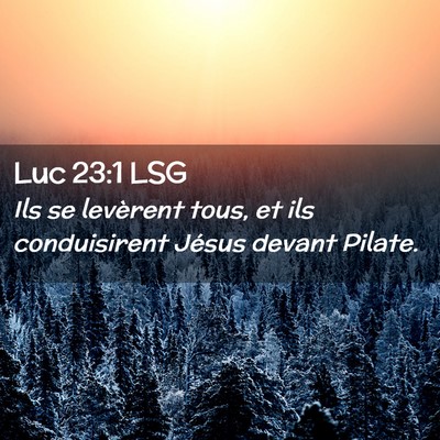 Picture 02 - Luc 23:1 LSG - Ils se levèrent tous, et ils conduisirent Jésus - Bible Verse Picture