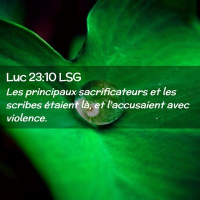Picture 02 - Luc 23:10 LSG - Les principaux sacrificateurs et les scribes - Bible Verse Picture
