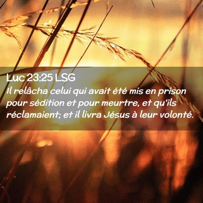 Picture 02 - Luc 23:25 LSG - Il relâcha celui qui avait été mis en prison - Bible Verse Picture