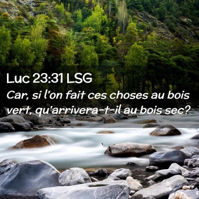 Picture 02 - Luc 23:31 LSG - Car, si l'on fait ces choses au bois vert, - Bible Verse Picture