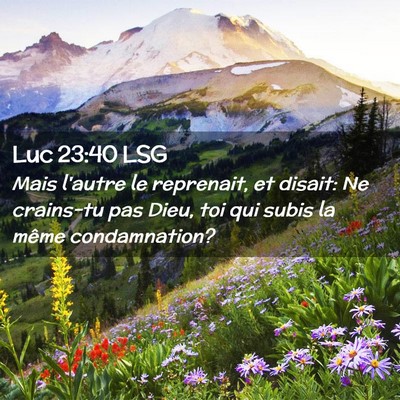 Picture 02 - Luc 23:40 LSG - Mais l'autre le reprenait, et disait: Ne - Bible Verse Picture