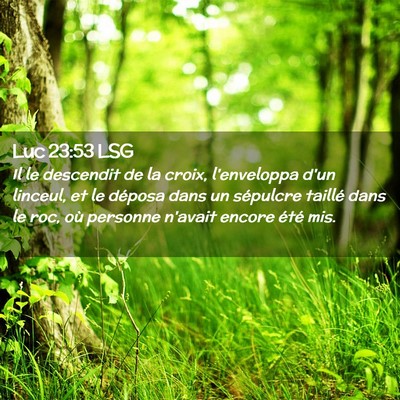 Picture 02 - Luc 23:53 LSG - Il le descendit de la croix, l'enveloppa d'un - Bible Verse Picture