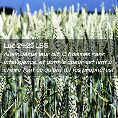 Picture 02 - Luc 24:25 LSG - Alors Jésus leur dit: O hommes sans - Bible Verse Picture