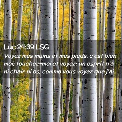 Picture 02 - Luc 24:39 LSG - Voyez mes mains et mes pieds, c'est bien moi; - Bible Verse Picture