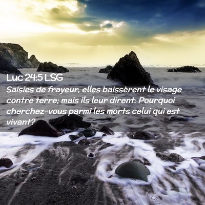 Picture 02 - Luc 24:5 LSG - Saisies de frayeur, elles baissèrent le visage - Bible Verse Picture