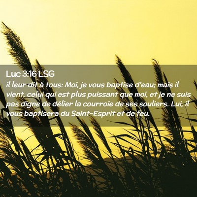 Picture 02 - Luc 3:16 LSG - il leur dit à tous: Moi, je vous baptise d'eau; - Bible Verse Picture