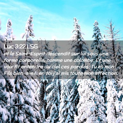 Picture 02 - Luc 3:22 LSG - et le Saint-Esprit descendit sur lui sous une - Bible Verse Picture