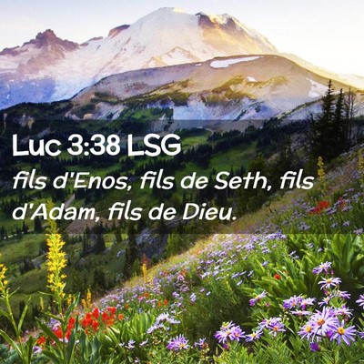 Picture 02 - Luc 3:38 LSG - fils d'Enos, fils de Seth, fils d'Adam, fils de - Bible Verse Picture