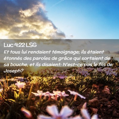 Picture 02 - Luc 4:22 LSG - Et tous lui rendaient témoignage; ils étaient - Bible Verse Picture
