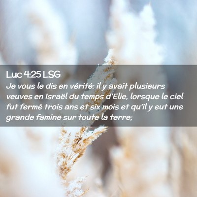 Picture 02 - Luc 4:25 LSG - Je vous le dis en vérité: il y avait plusieurs - Bible Verse Picture